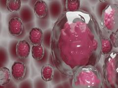 
      
      Study focuses on new discovery in regenerative medicine
      
      
