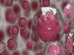 
      
      Study sheds light on how blood stem cells maintain their...
      
      