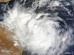 
      
      Tropical storm makes landfall in northern Somalia
      
      