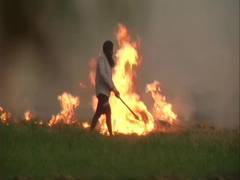 
      
      Haryana: Fatehabad admin asks Agri Dept to lodge FIR against...
      
      