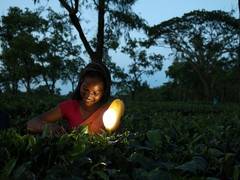 
      
      Greenlight Planet Honored the Award of Excellence - Power at...
      
      