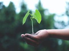 
      
      World Environment Day 2021: Action and awareness, two...
      
      