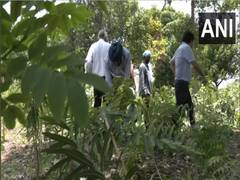 
      
      Amritsar dumpyard transformed into mini-forest
      
      