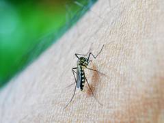 
      
      Centre rushes team to Kanpur after first case of Zika virus...
      
      