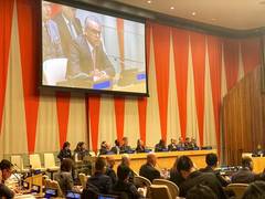 
      
      No substitute for professional competence: India calls for...
      
      