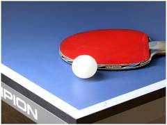 
      
      Odisha to host 21st Commonwealth Table Tennis C'ship
      
      