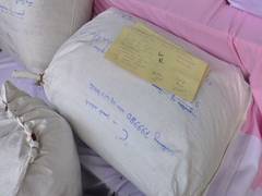 
      
      Manipur: Drug peddler arrested, 8 lakh World is Yours (W/Y)...
      
      