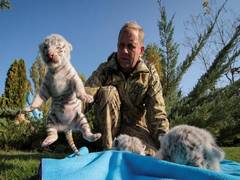 
      
      Crimean zoos offer shelter to animals from Siberian forests...
      
      