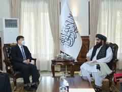 
      
      Afghanistan's acting FM discusses bilateral relations, trade...
      
      