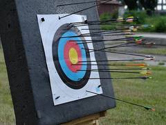 
      
      Archer Himani Malik tests positive for COVID-19
      
      