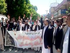 
      
      Pakistan: TLP supporters hold anti-govt protests, gherao...
      
      