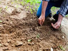 
      
       Study predicts soil recovery following wildfires
      
      