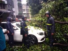 
      
      Thane: Trees fall on car in Raheja Garden, no casualties
      
      
