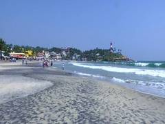 
      
      COVID-19 pandemic hits hard Kerala tourism sector
      
      