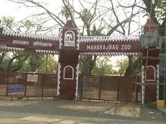 
      
      Combating COVID-19: Nagpur's Maharaj Bagh Zoo closed
      
      