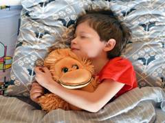 
      
      Naptime for preschoolers may bolster literacy skills
      
      