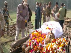 
      
      'Collarwali' at MP's Pench Tiger Reserve breathes her last
      
      