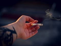 
      
      Tobacco smoke-exposed children often use emergent health...
      
      