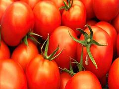 
      
      Prices of tomatoes down by 13 pc in last one week, 24 pc in...
      
      