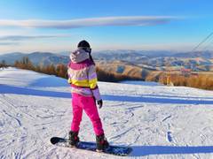 
    Study finds ski tourism heading downhill due to climate change
    