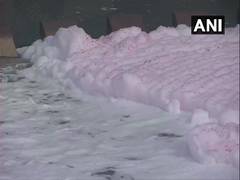 
      
      Toxic foam floats near Yamuna River bank in Delhi
      
      