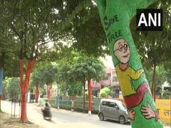 
      
      Lucknow: Trees painted with colours as part of beautification...
      
      
