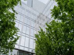 
      
      Having greenery around hospitals can ease confusion, anger: Study
      
      