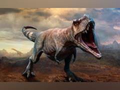 
    Research unveils quirky insights about dinosaur's brain, eating habits 
    