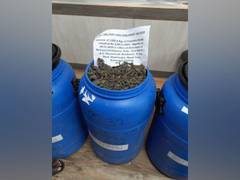
      
      Drug peddlers sentenced to 20 years imprisonment
      
      