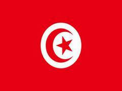 
      
      Tunisians protest against poverty, police brutality
      
      