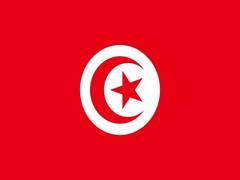 
      
      Tunisia to hold snap Presidential elections today
      
      