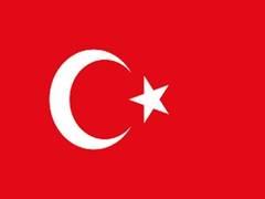 
      
      Turkey 'neutralized' 21 Syrian troops in Idlib 
      
      