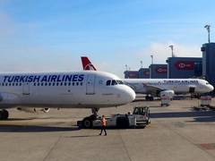
      
      Turkish Airlines Boeing 737 crash-lands in Ukraine; no casualties
      
      
