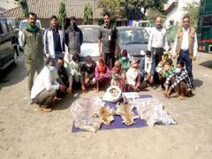 
      
      Madhya Pradesh: 16 held for leopard hunting, trading of...
      
      