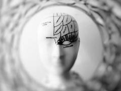 
      
      Subcellular map of complete brain network developed by scientists
      
      