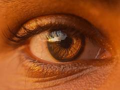 
      
      Scientists develop new thermogel to prevent retinal scarring  
      
      