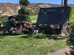 
      
      Tyler Posey brings beer bottles to late mother's grave on her...
      
      