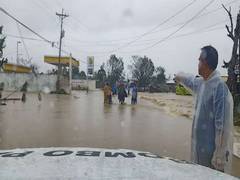 
      
      Toll in Ursula Typhoon in Philippines climbs to 41
      
      