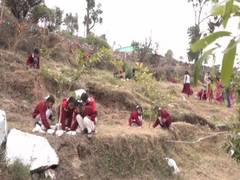 
      
      Udhampur-based govt school takes lead for clean and green...
      
      