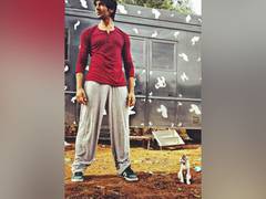 
      
      Kartik Aaryan shares picture in anticipation, awaiting his...
      
      