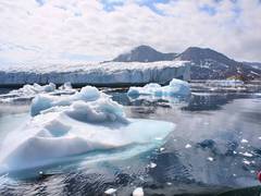 
      
      Study reveals lasting impact of declining winter 
      
      