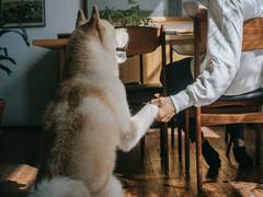 
      
      International Dog Day 2021: A special occasion to honour...
      
      