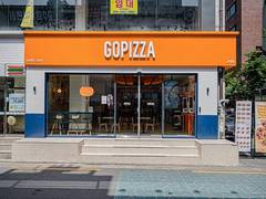 
      
      GOPIZZA launches in India and Plans to expand to 100 outlets 
      
      