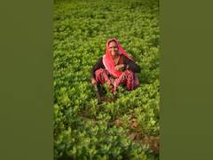 
      
      Organic India sets stage for Dharti Mitr Awards 2021;...
      
      