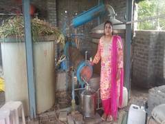 
      
      CitSpray Aroma Sciences leads growth in Indian essential oil...
      
      