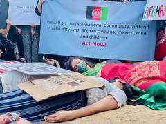 
      
      Hundreds of Afghans protest outside White House as Taliban...
      
      