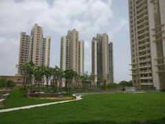 
      
      Sustainability shaping the realty landscape
      
      