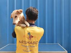 
      
      Nishabd Shelter launches virtual dog adoption program first time
      
      