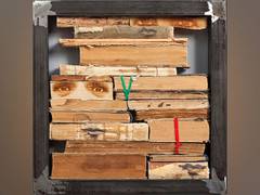 
      
      Vida Heydari Contemporary to exhibit Indian & Iranian artists 
      
      