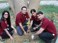 
      
      Brightsun Travel celebrates World Environment Day 
      
      